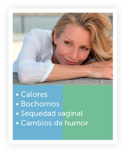 Menopausia